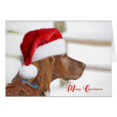 Kerstmis: Irish Setter in sneeuwvlokken (Voorkant Horizontaal)
