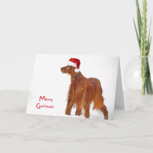 Kerstmis: Irish Setter in sneeuwvlokken Kaart