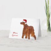 Kerstmis: Irish Setter in sneeuwvlokken Kaart (Voorkant)