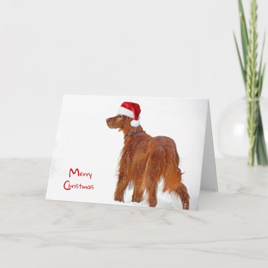 Kerstmis: Irish Setter in sneeuwvlokken Kaart (Voorkant)