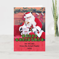 Kerstmis - Jack Russell - Trey