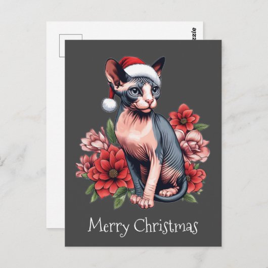 Kerstmis Kaart | Sphynx kat met een kerstmuts (Voorkant / Achterkant)