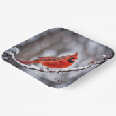 Kerstmis kardinaal op wintertak papieren bordje (Gebogen)