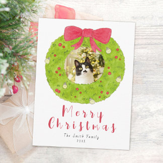 Kerstmis kat foto vakantie ansichtkaart feestdagenkaart