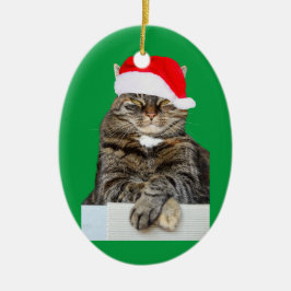 Kerstmis Kat Humbug Foto Ovaal Siervoorwerp Keramisch Ornament