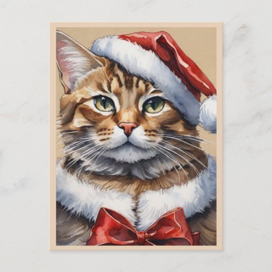 Kerstmis kat kerstkaart feestdagenkaart (Voorkant)