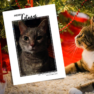 Kerstmis Kattenhuisdier Foto Vakantiewenskaart Feestdagenkaart