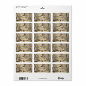 Kerstmis, kerk in winterslaap etiket (Full Sheet)