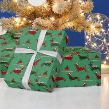 Kerstmis Kerstman Trui Dragende Dachshund Huisdier
