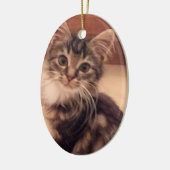 Kerstmis Keuten Ornament Cat Kat Holidage (Links)