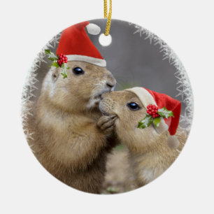 Kerstmis Kiss Ornament