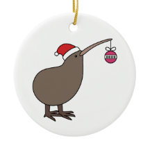 Kerstmis Kiwi