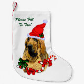 Kerstmis Kleine Kerstsok (Voorkant)