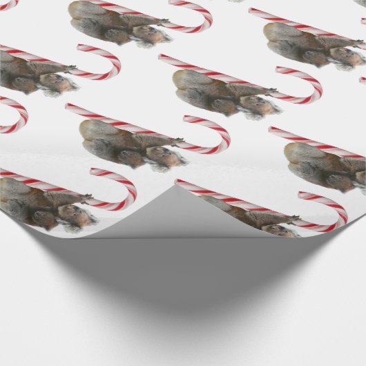 Kerstmis Koala Beren klimmen snoepriet Cadeaupapier (Hoek)