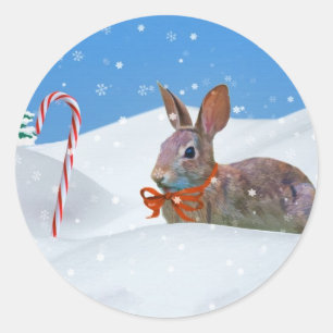 Kerstmis, Konijn, Sneeuw, Suikerstokken Ronde Sticker