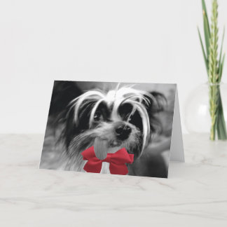 Kerstmis Kuif (ME) Feestdagen Kaart