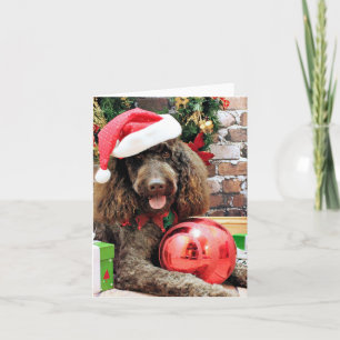 Kerstmis - LabraDoodle - Harley Feestdagen Kaart