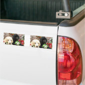 Kerstmis - LabraDoodle Miller - Golden Retriever Bumpersticker (Op Truck)