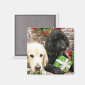 Kerstmis - Labradoodle Miller - Golden Retriever Magneet (Voorkant / Achterkant)
