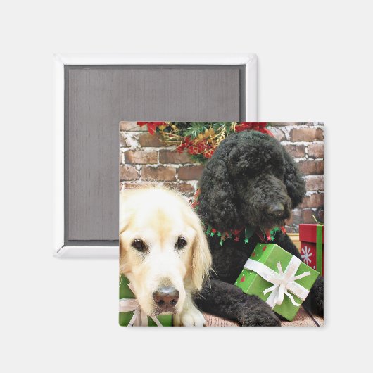 Kerstmis - Labradoodle Miller - Golden Retriever Magneet (Voorkant / Achterkant)