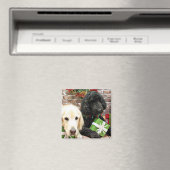 Kerstmis - Labradoodle Miller - Golden Retriever Magneet (Insitu (Vaatwasser))