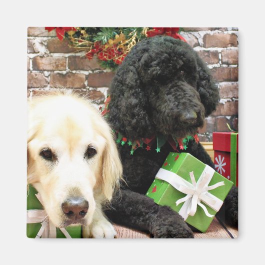 Kerstmis - Labradoodle Miller - Golden Retriever Magneet (Voorkant)