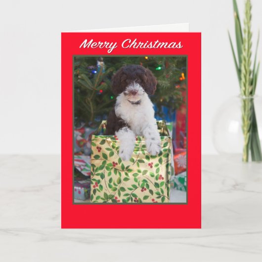 Kerstmis Labradoodle Puppy Kaart (Voorkant)