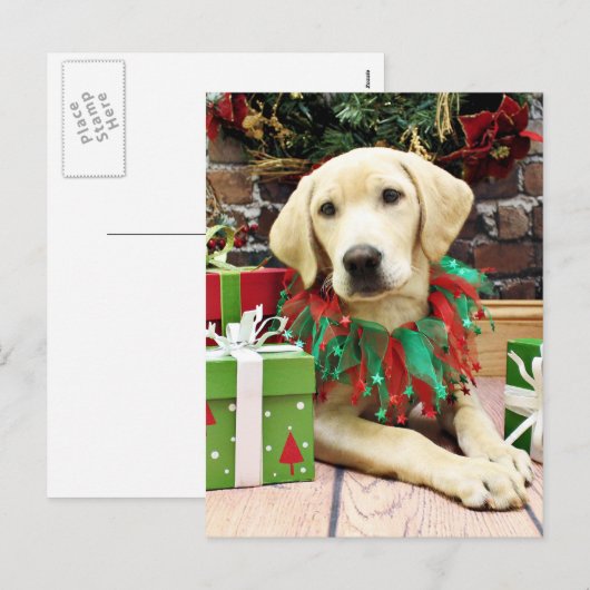 Kerstmis - Labrador - Buck Feestdagenkaart (Voorkant / Achterkant)