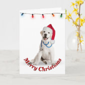 Kerstmis Labrador Retriever Dokter Kaart (Gele Bloem)
