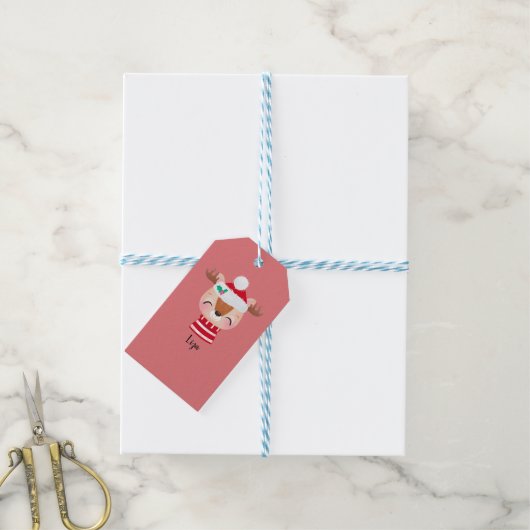 Kerstmis lachend rendiergezicht cadeaulabel (Met Touw)