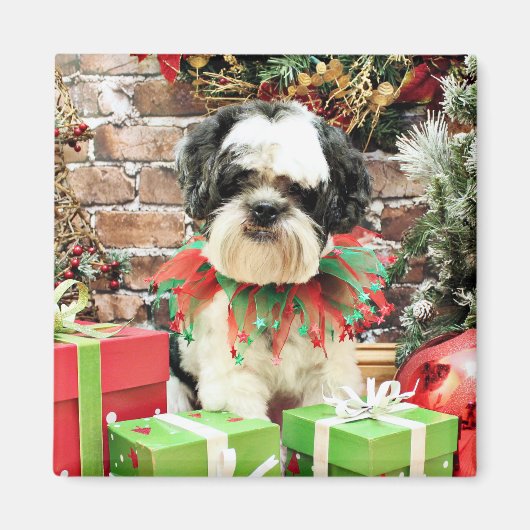 Kerstmis - Lhasa Apso - Parker Magneet (Voorkant)