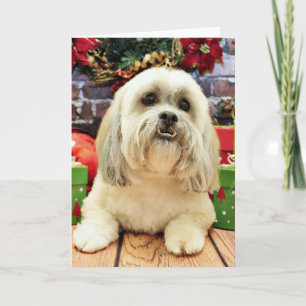 Kerstmis - Lhasa Apso - solo Feestdagen Kaart