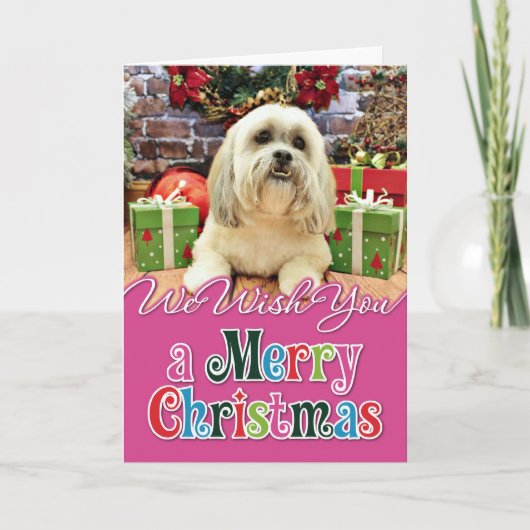 Kerstmis - Lhasa Apso - Solo Feestdagen Kaart (Voorkant)