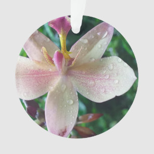 KERSTMIS LIEFDE CADO VROUWEN, VRIENDIN MOEDER ORNAMENT