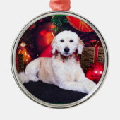 Kerstmis - Maggie - GoldenDoodle Metalen Ornament (Voorkant)