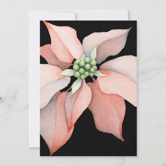 Kerstmis, Magic/Poinsettia Flower/Black Weddenscha Aankondiging (Achterkant)