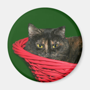 Kerstmis Magneet