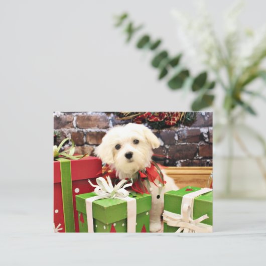 Kerstmis - Maltees - Flits Feestdagenkaart (Staand voorkant)