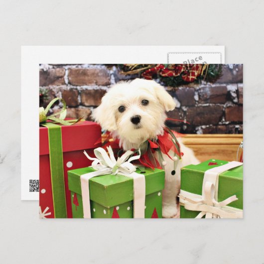 Kerstmis - Maltees - Flits Feestdagenkaart (Voorkant / Achterkant)