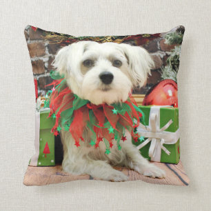 Kerstmis - Maltees - Oscar Kussen