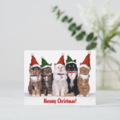 "Kerstmis Meowy!" Katten Feestdagenkaart (Staand voorkant)