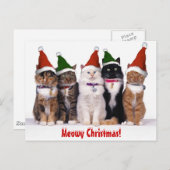 "Kerstmis Meowy!" Katten Feestdagenkaart (Voorkant / Achterkant)
