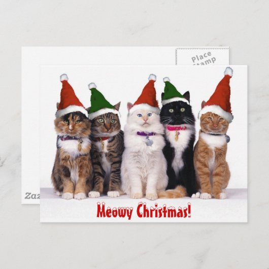 "Kerstmis Meowy!" Katten Feestdagenkaart (Voorkant / Achterkant)
