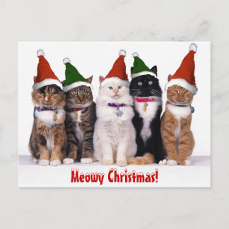 "Kerstmis Meowy!" Katten Feestdagenkaart