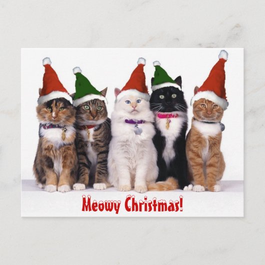 "Kerstmis Meowy!" Katten Feestdagenkaart (Voorkant)