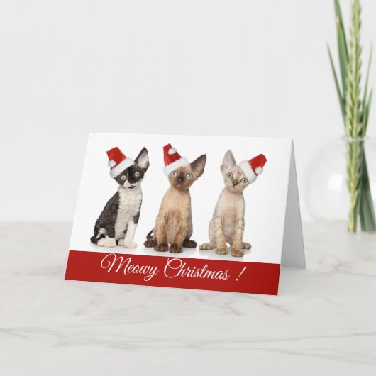 Kerstmis| Meowy Kerstketens Feestdagen Kaart (Voorkant)