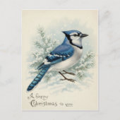 Kerstmis met Blauwe Gaai uit 1908  Briefkaart (Voorkant)