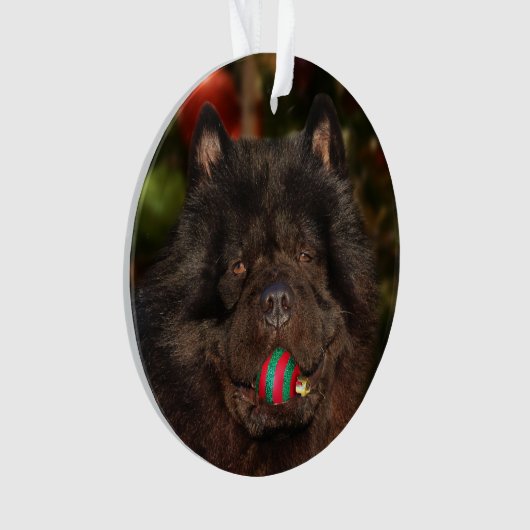 Kerstmis met een zwarte hond ornament (voorkant)