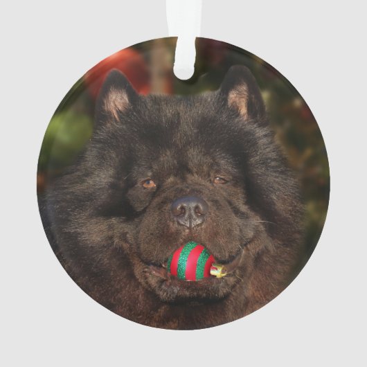 Kerstmis met een zwarte hond ornament (achterkant)