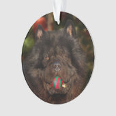 Kerstmis met een zwarte hond ornament (voorkant)